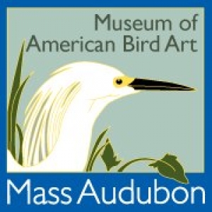 Museum of American Bird Art | Mass Audubon