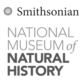 National Museum of Natural History | Smithsonian Institution