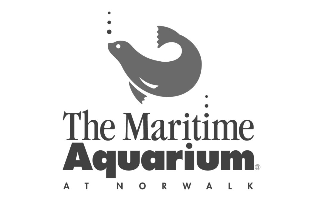 Maritime Aquarium